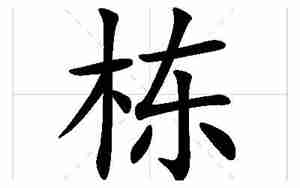 栋字起名寓意