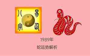 易经八字算命1989年属蛇