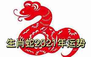 运势蛇2021年运势