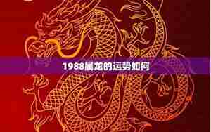 运势分析1988属龙