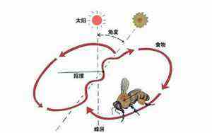 周公解梦2345原版免费(周公解梦2345)