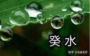 鼠年11月的宝宝取名大全(鼠年11月的宝宝取名)